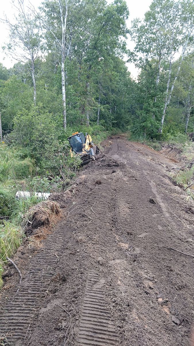 Two people stand beside a large dirt mound on a forested trail.