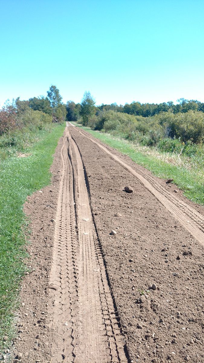 Dirt road stretching through grassy fields under a clear blue sky