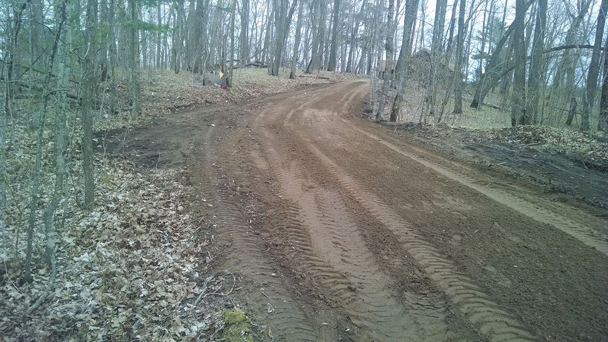 Mud dirt road curving through a leafless forest in winter or early spring