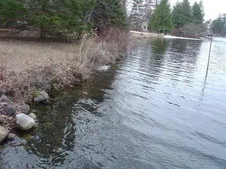 Calm lake shoreline with rippling water, rocky bank, and evergreen trees in the background