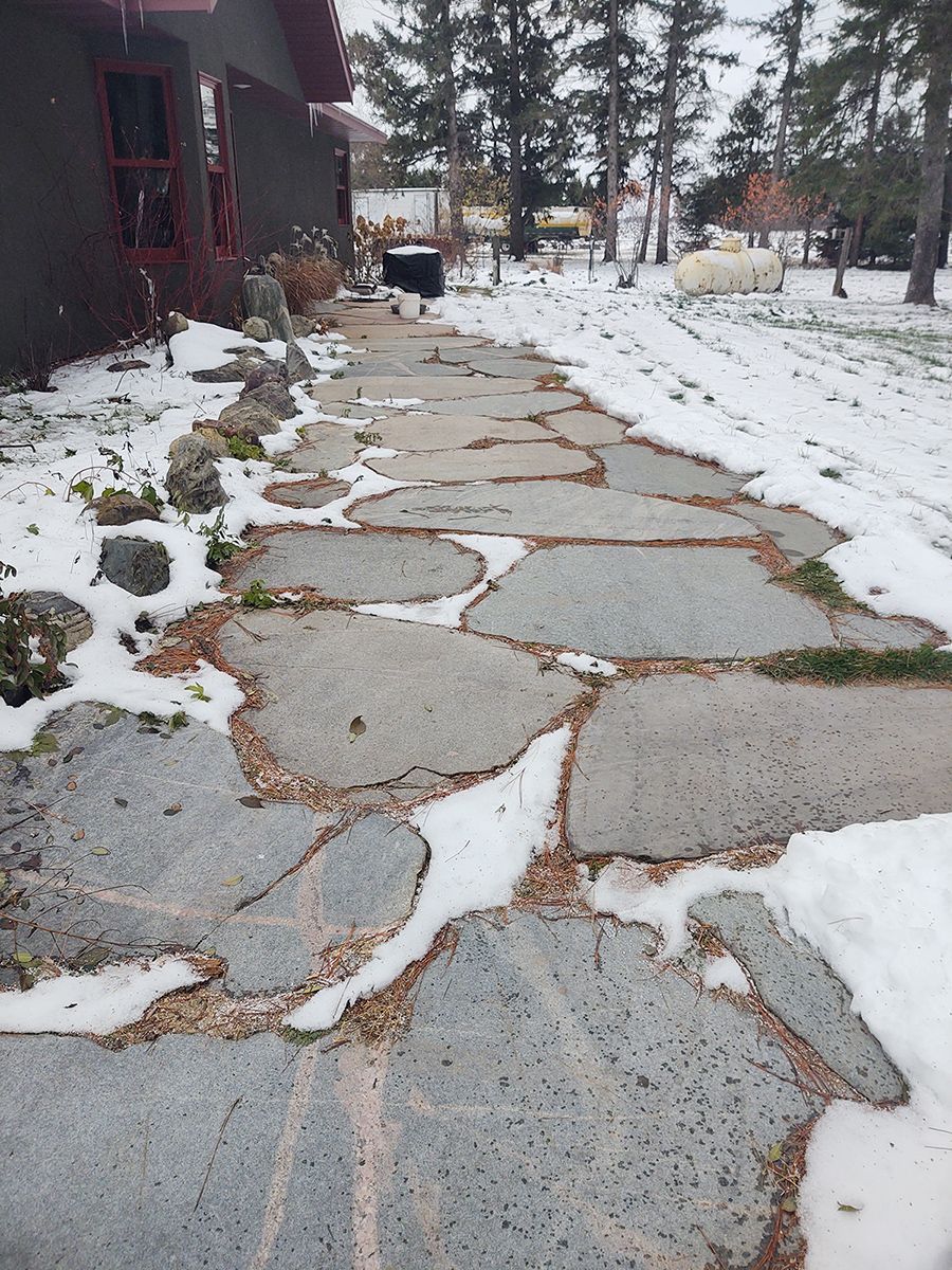Snowy cracked sidewalk beside a building and trees in winter