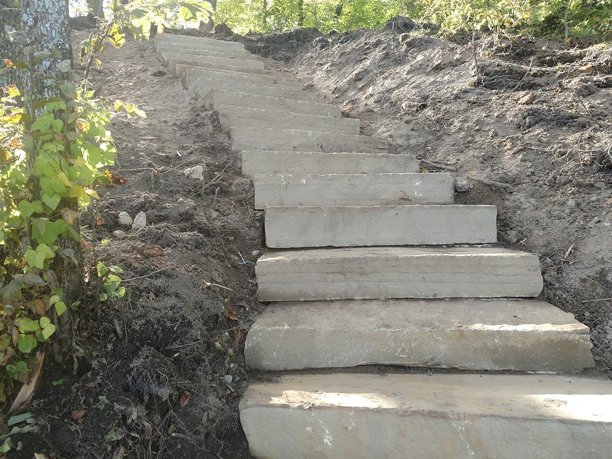 Concrete stairs built into a dirt hillside, surrounded by greenery and sunlight