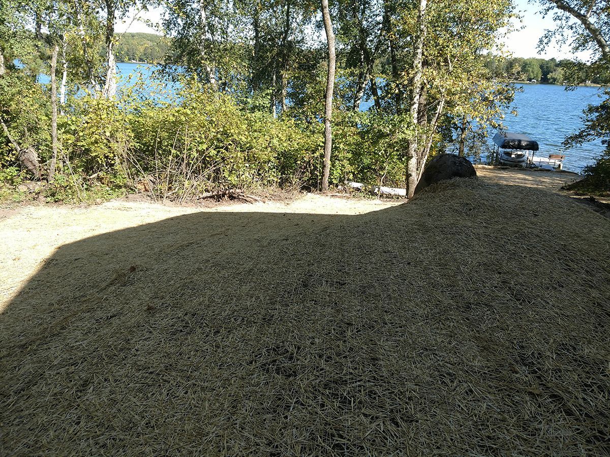 Shaded gravel path leading to a blue lake with trees and bushes along the shore