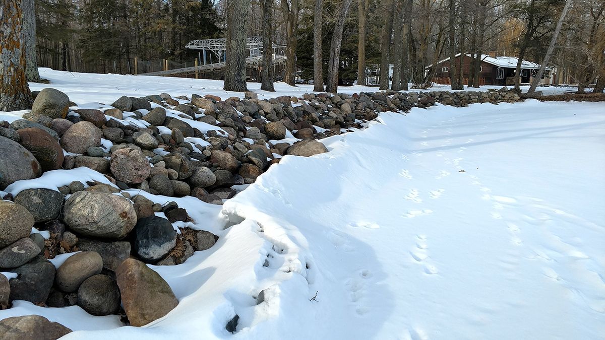 Snow-covered pond beside a rocky stone wall and trees in winter