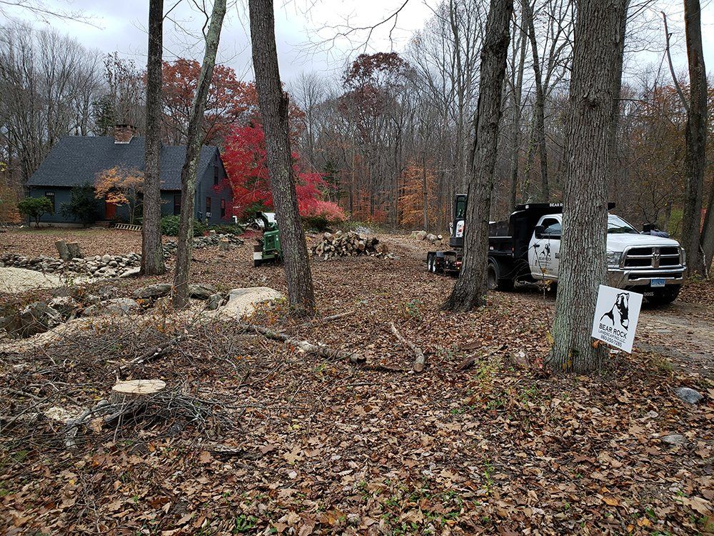 Tree services