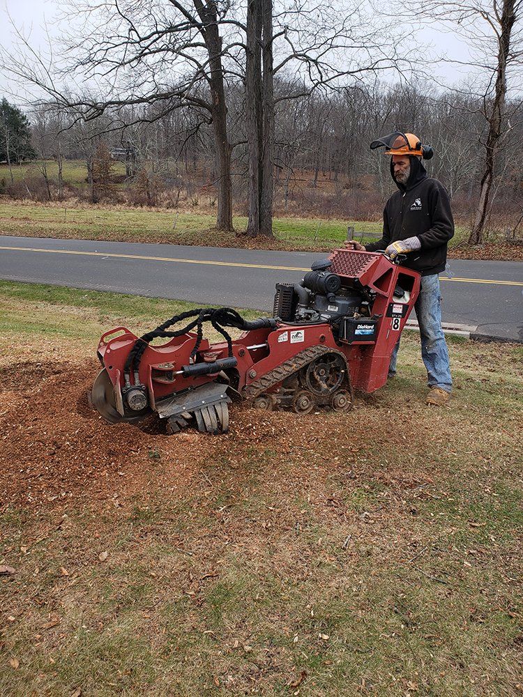 Tree services