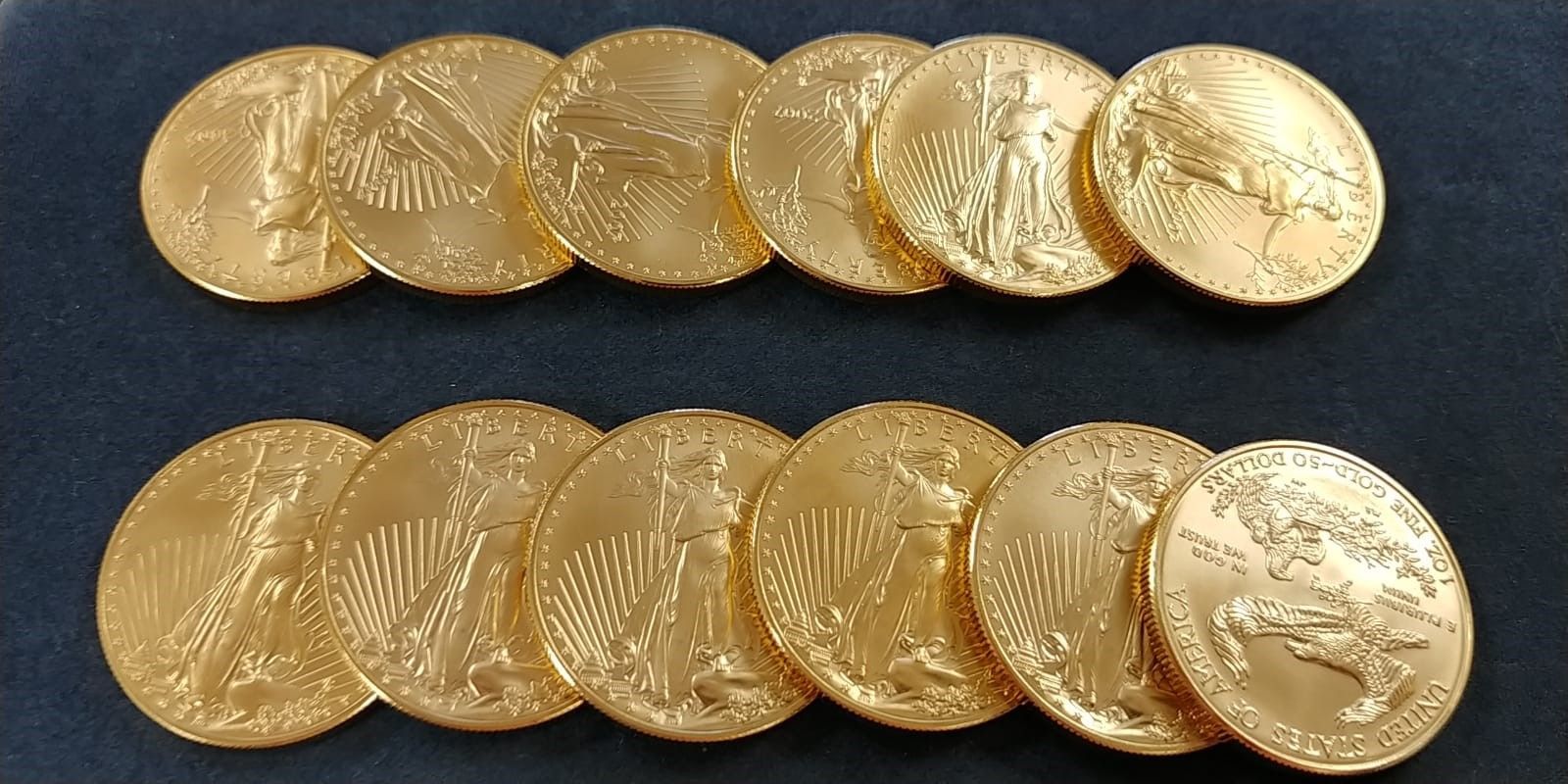 Two rows of gold coins on a blue surface