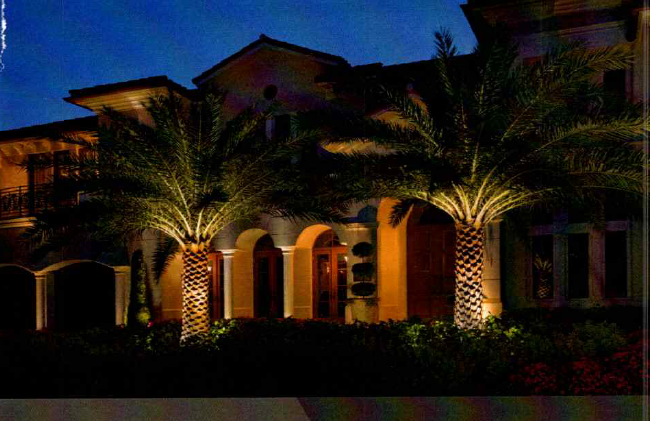 Palm trees are lit up in front of a large building