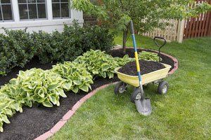 Landscaping Mulch