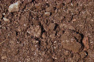 Organic Planting Soil