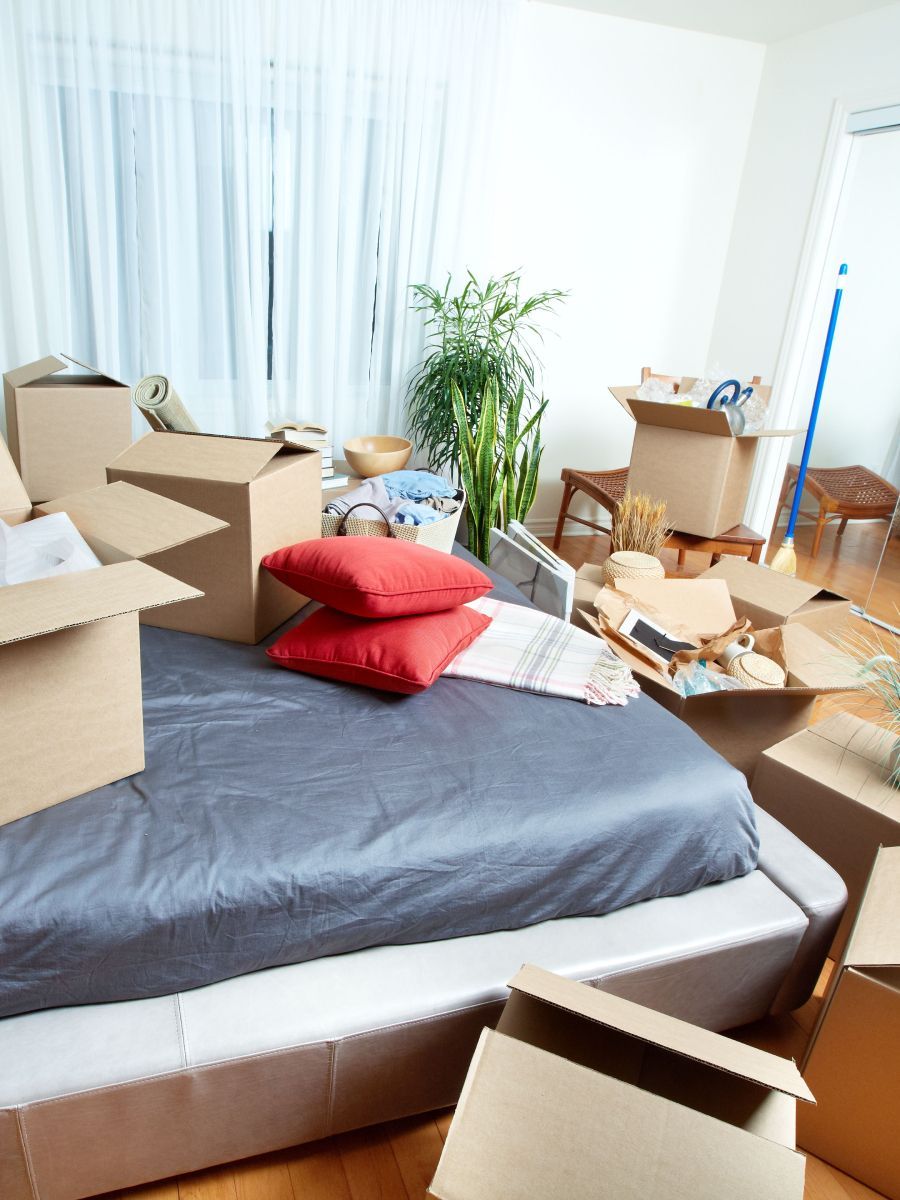 Bedroom in disarray: boxes, bed with red pillows, plants, and items scattered on the floor, suggesting a move