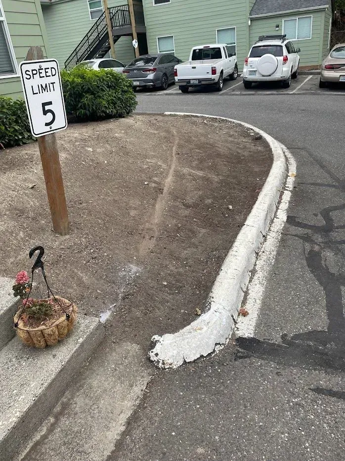 Speed limit 5 sign near a curb and dirt area. Cars are parked in the background. A hanging flower basket is on the left.