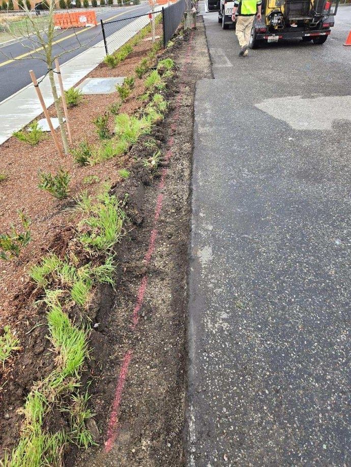 A narrow dirt planting strip next to asphalt. Workers and machinery are in the background.