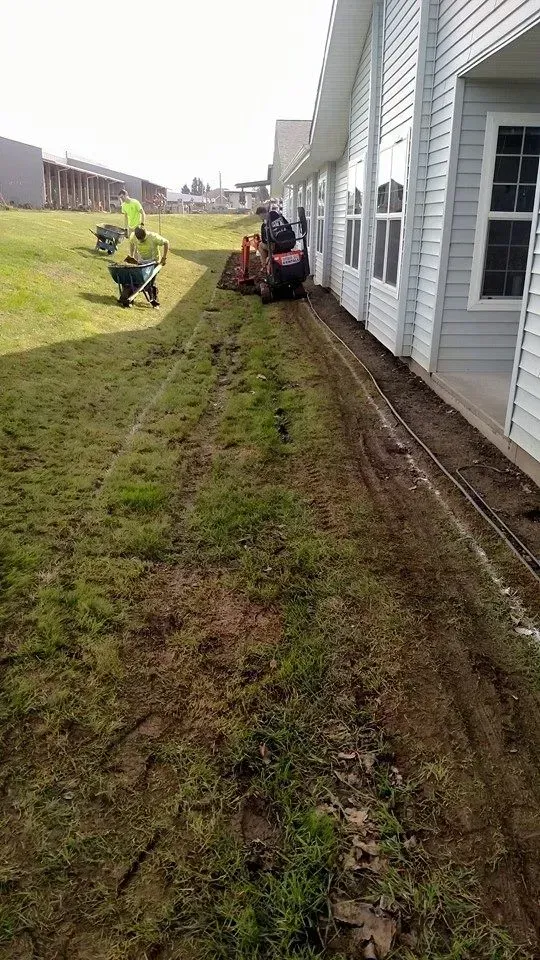 Workers digging a trench along a building. One operates a machine, others use wheelbarrows on the green lawn.