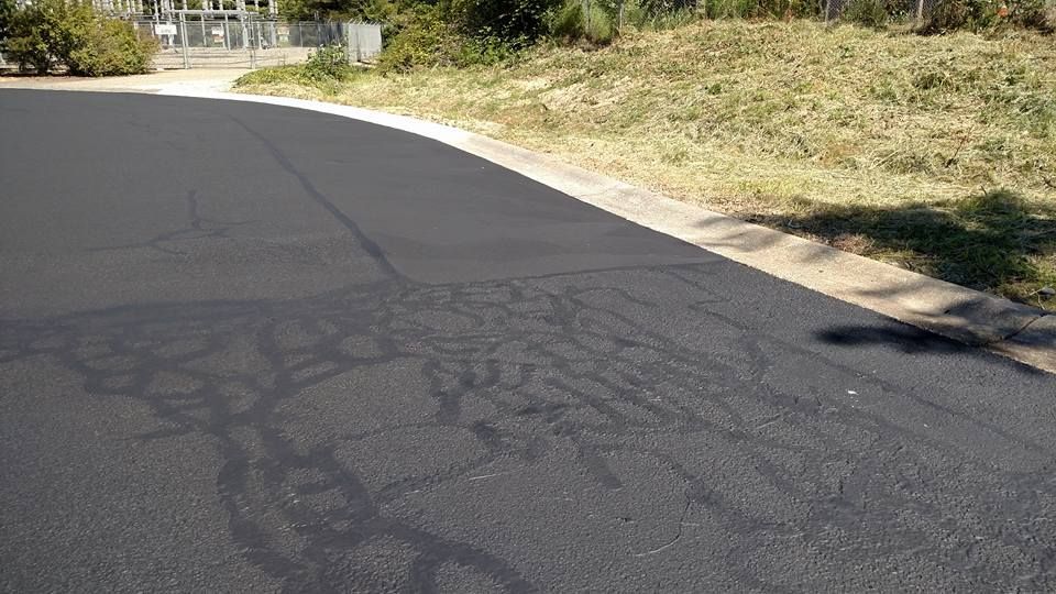 Newly paved asphalt road curves, next to a grassy edge.