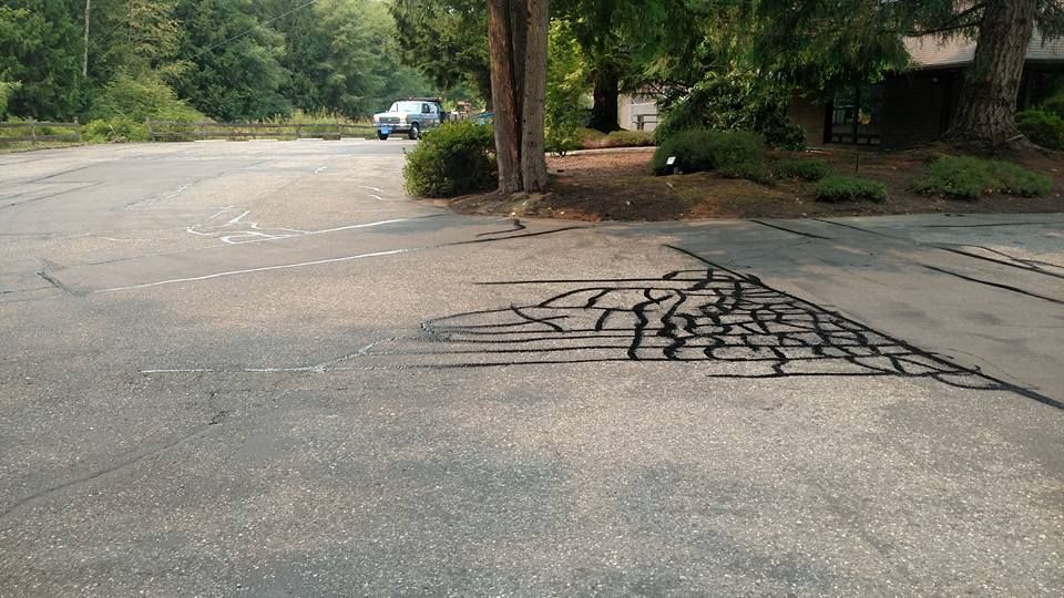 Cracked asphalt parking lot; black patches cover cracks. A car is visible in the background.