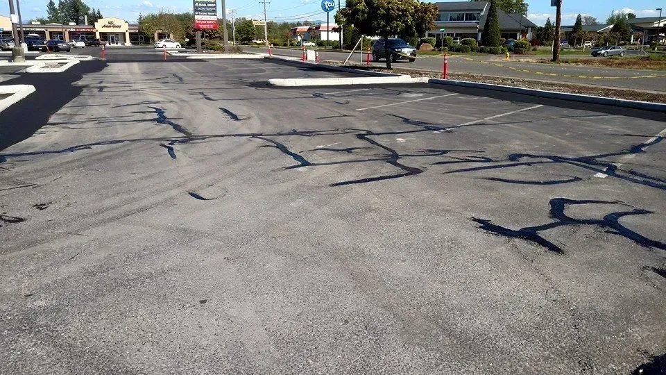 Cracked asphalt parking lot in an outdoor setting with buildings in the background.
