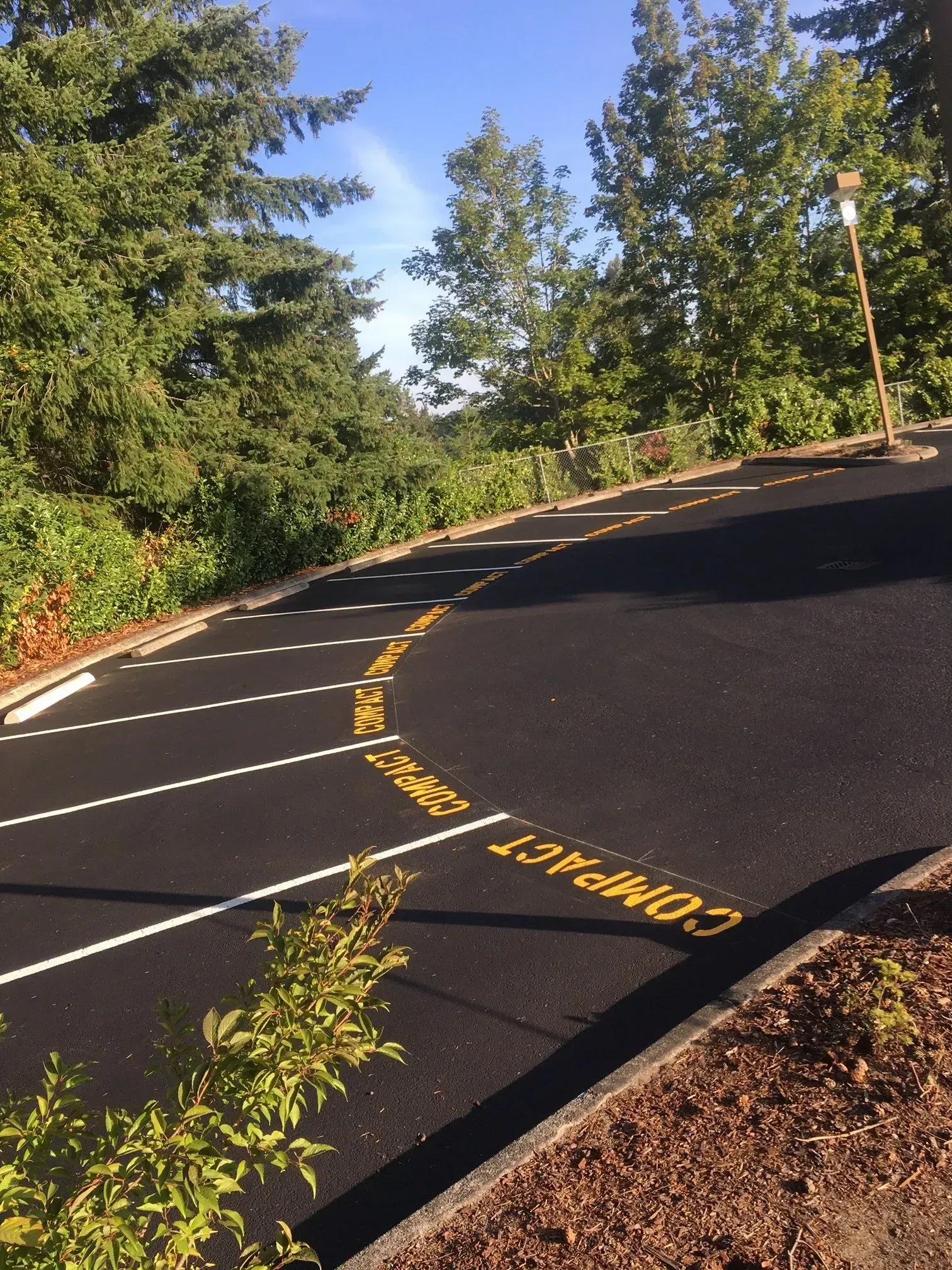Black asphalt parking lot with white lines and yellow
