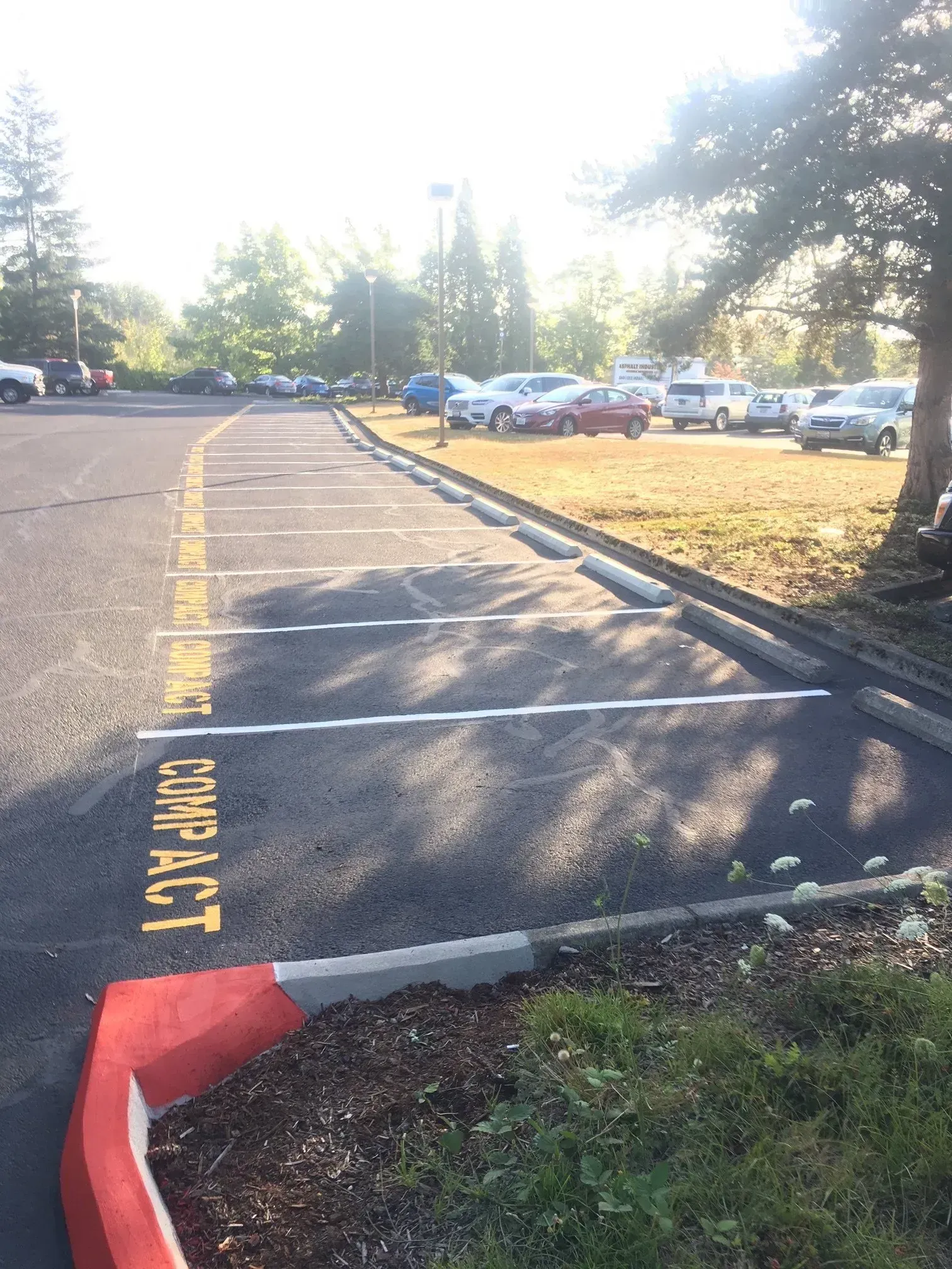 Parking lot with compact car parking spaces, curb, and other cars in the background.