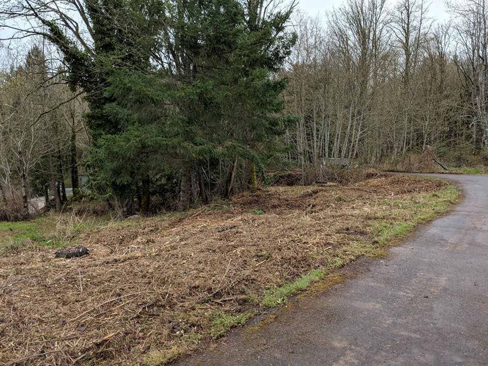 Gravel road curves past a cleared, mulched area with trees and a forest in the background. Overcast day.