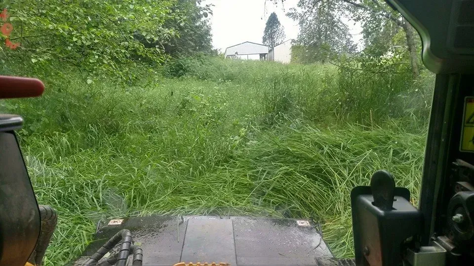 View from the cab of a skid steer mowing tall grass in a field, with a building and trees in the background.