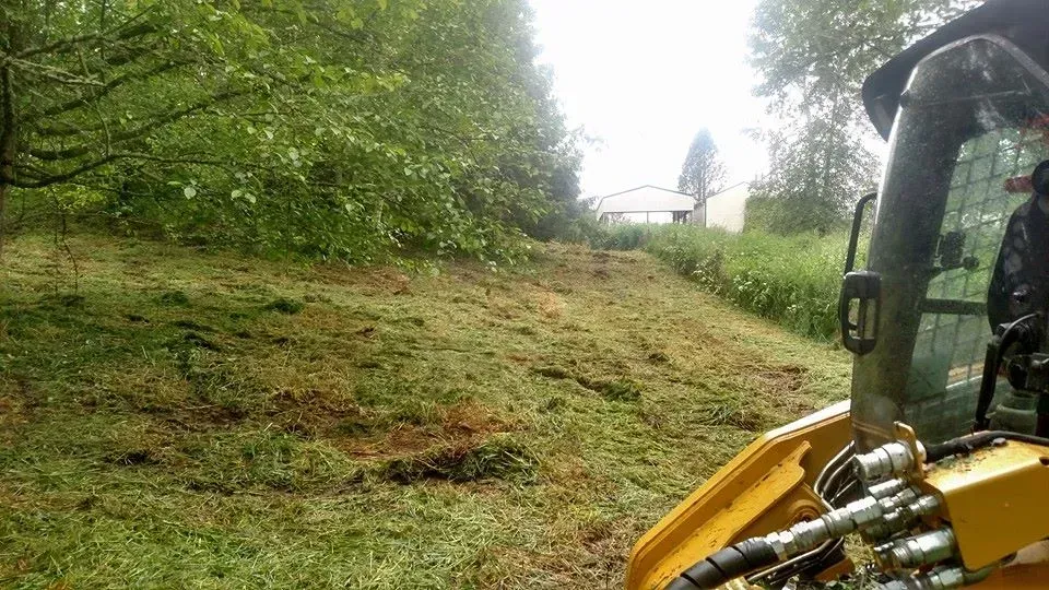 Yellow skid steer mowing grassy hillside.