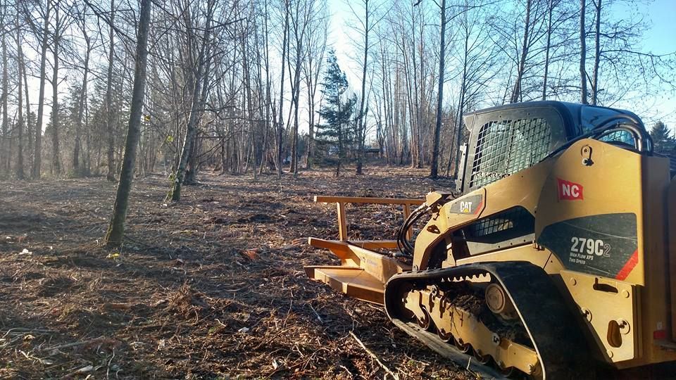 Yellow skid steer clearing a forest, with bare trees in the background.