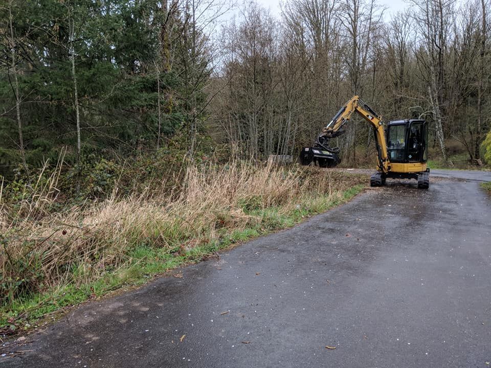 Yellow excavator on a road clearing brush near a forest, overcast day.