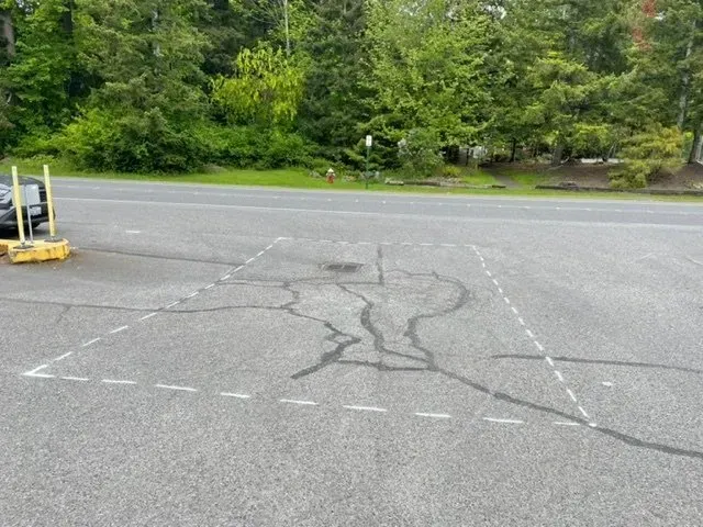 Cracked asphalt parking space outlined with white lines; trees in the background.