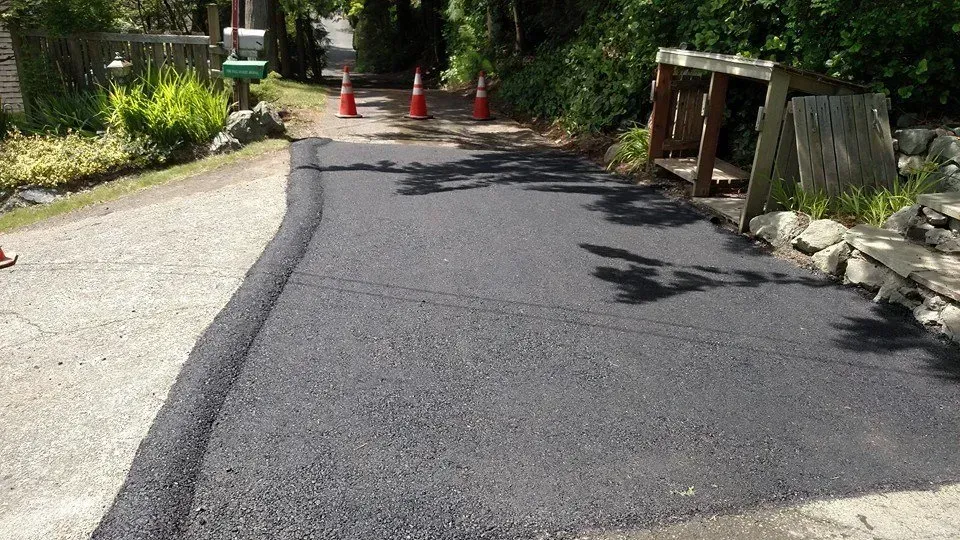 Newly paved asphalt driveway leading toward a shaded area; orange cones visible.
