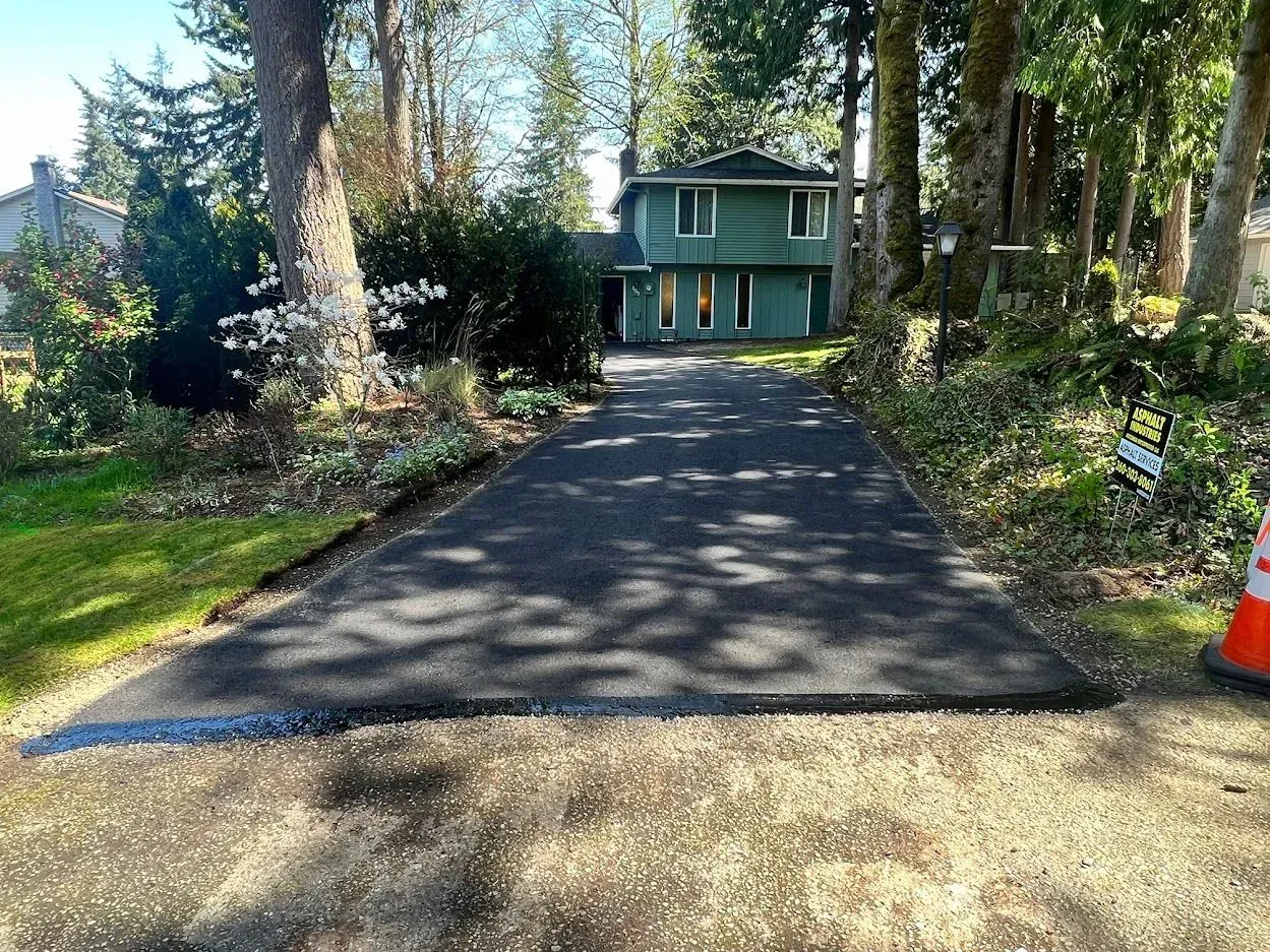 Black asphalt driveway leading to a green house, trees on either side.