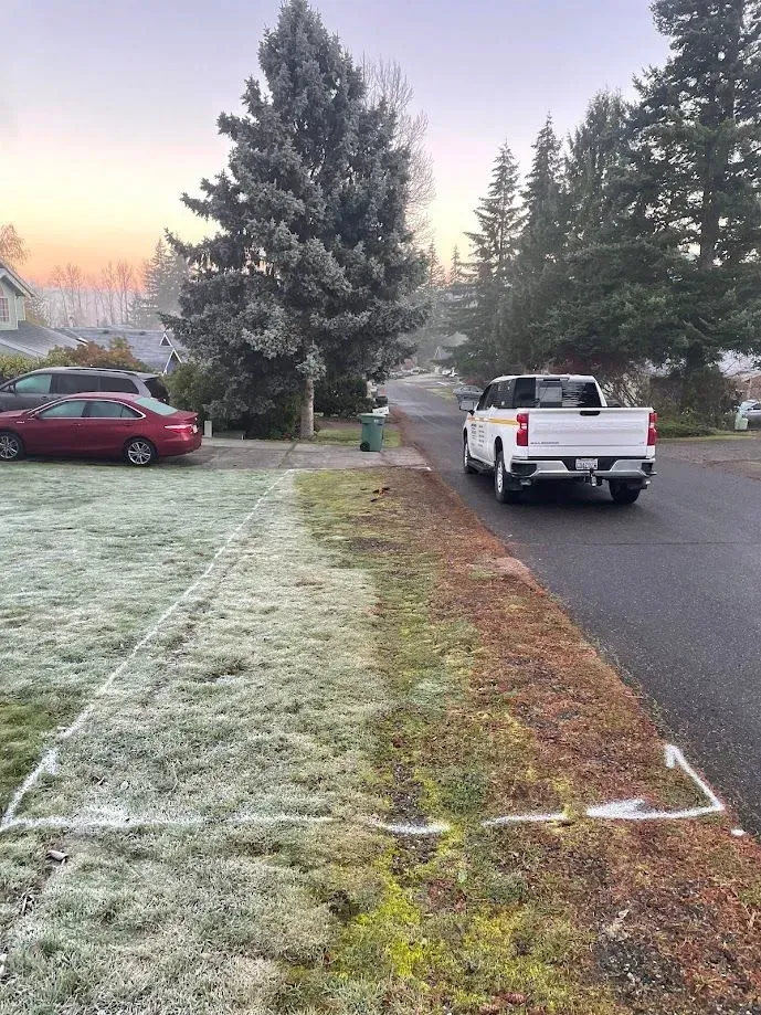 Frosty lawn half covered with frost. White pickup truck on street.