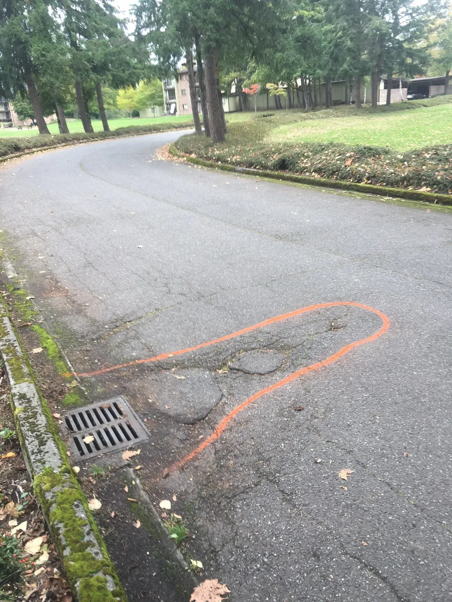 Asphalt road with orange markings; a drain and trees are visible.