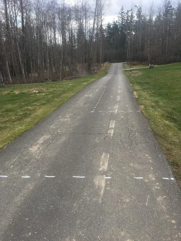 Asphalt road lined with white markers, leading through a grassy area and toward a treeline.
