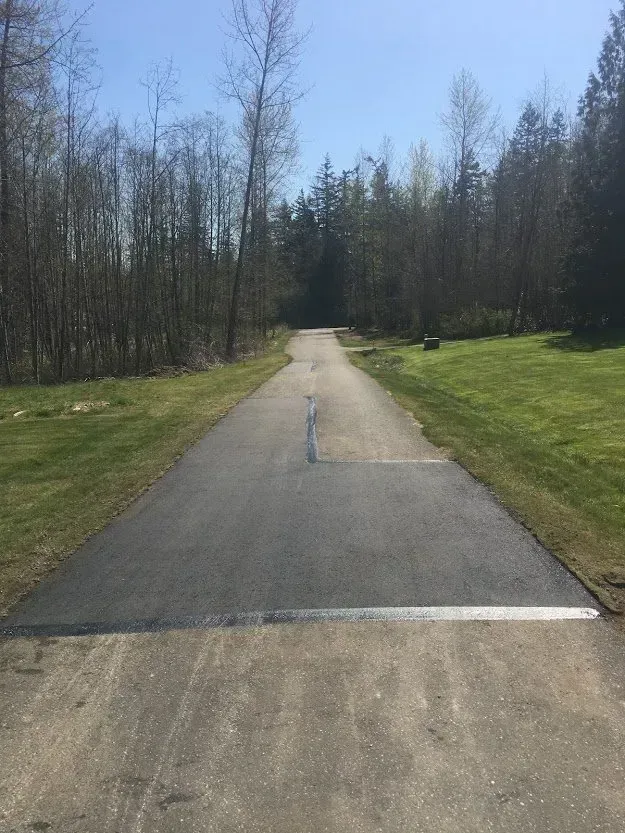Asphalt path through a grassy area, leading into a forest. Bright sunny day, trees in background.