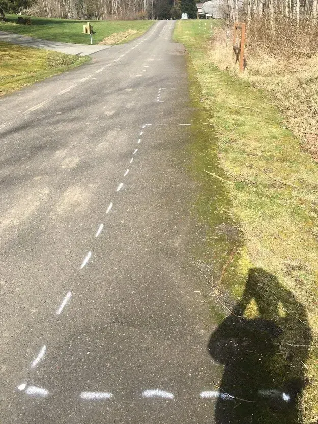 Asphalt path with white dotted lines forming a square. Green grass borders the path, with a person's shadow visible.