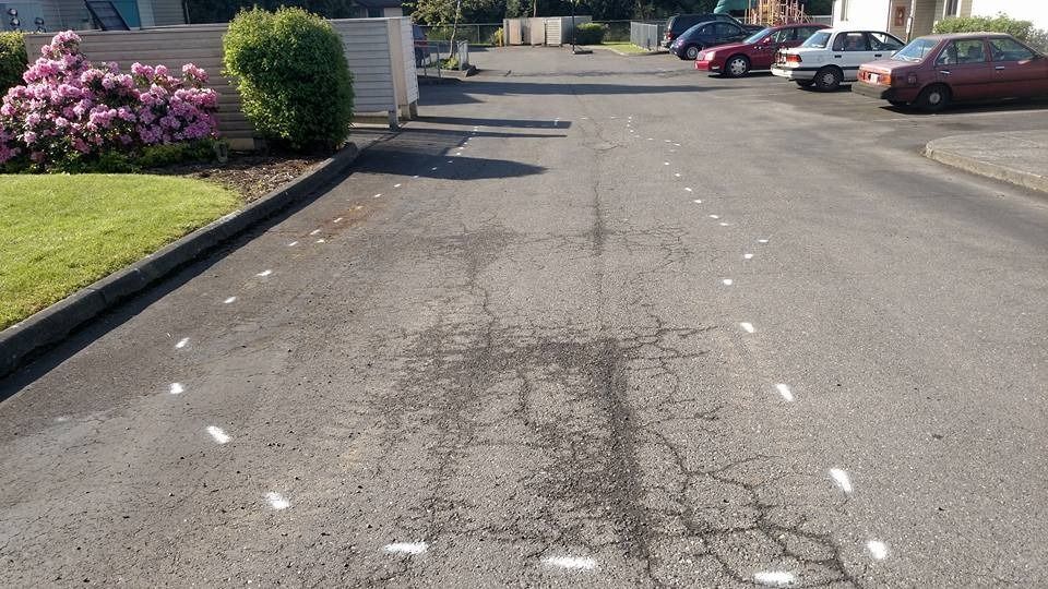 Asphalt driveway with white markings and cracks, parked cars in background, flowers on the left.