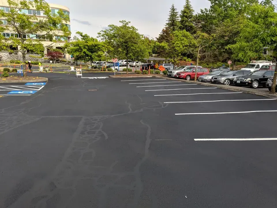 A newly paved parking lot with cars parked along the right, a building in the background, and trees.