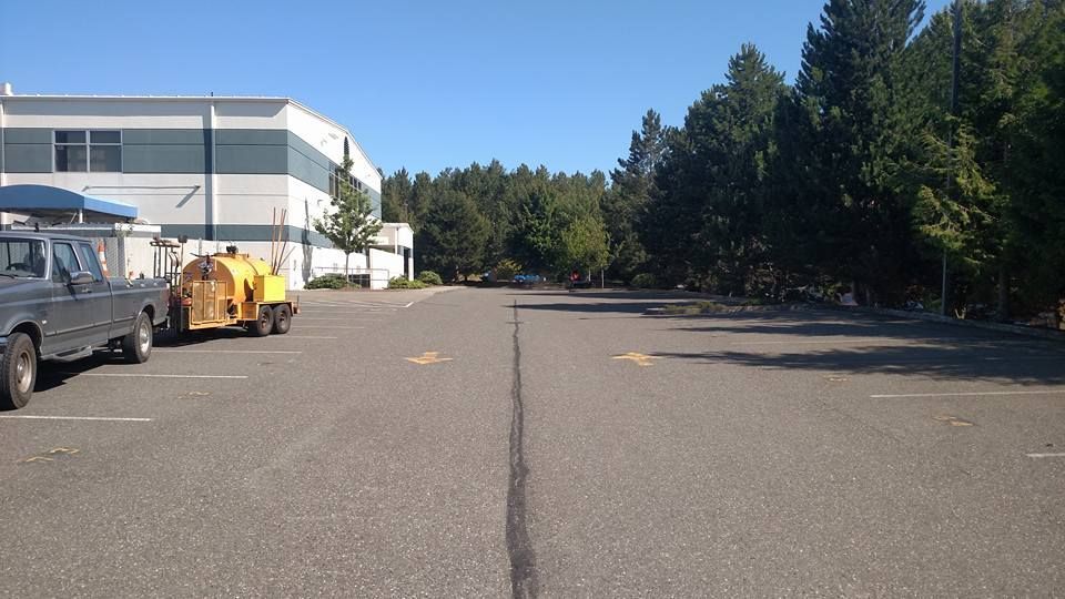 Parking lot with a building on the left and trees in the background under a blue sky.