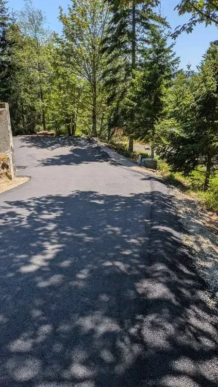 Black asphalt road winds through a sunny wooded area.