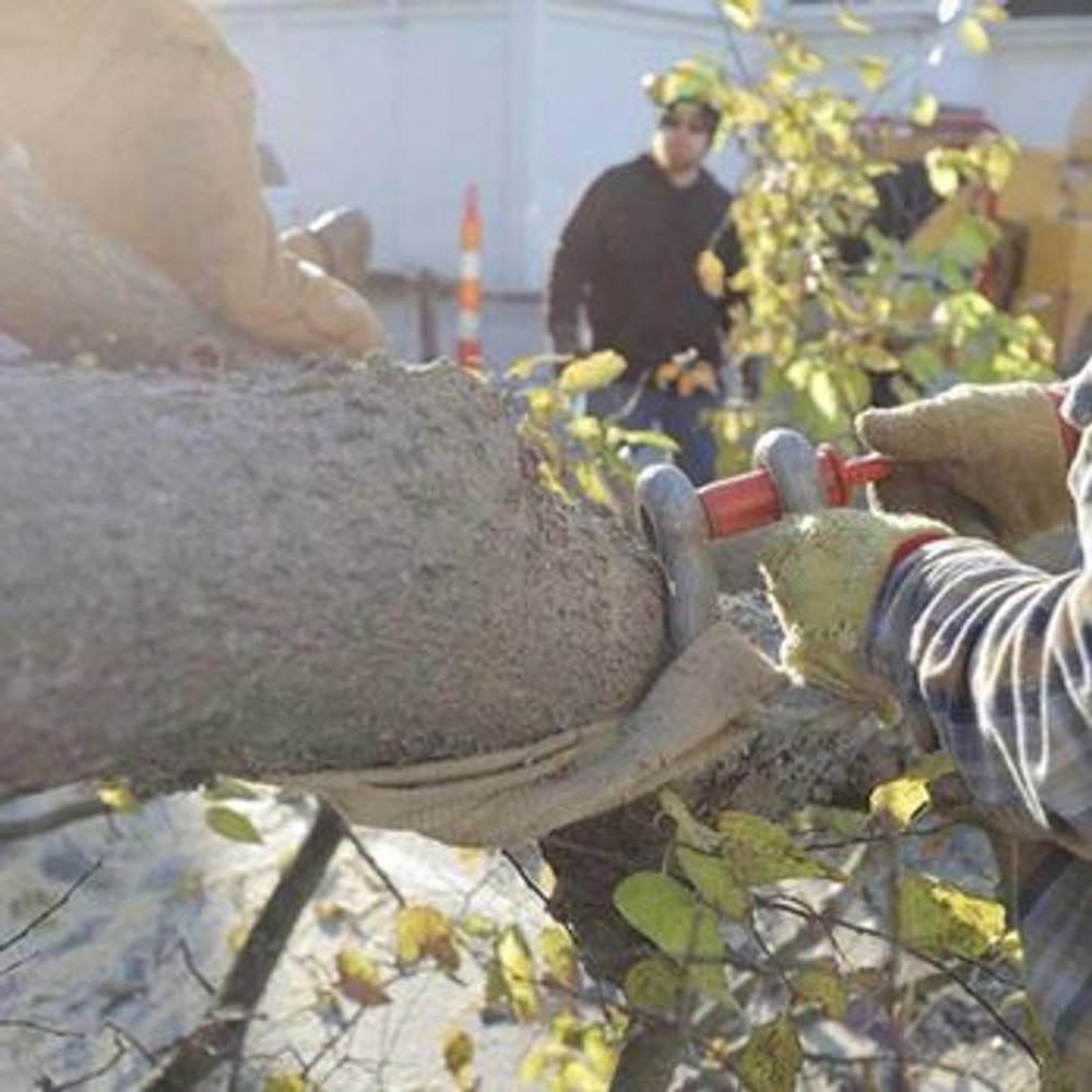 Worker cutting a tree branch with a saw near a roadside, with safety cones in the background
