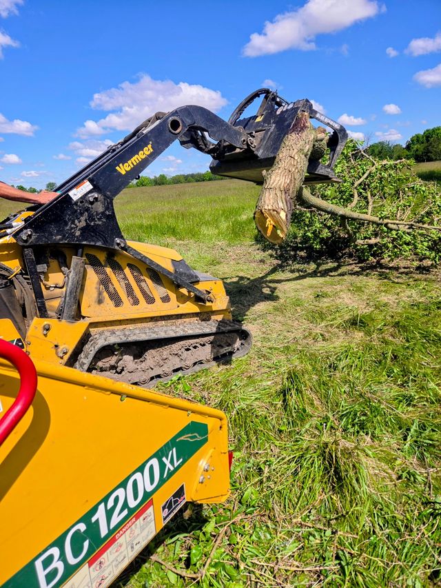 Yellow wood chipper clearing a fallen tree in a grassy field under a blue sky