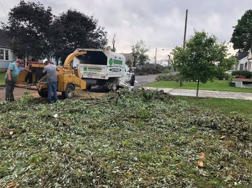 Workers load tree debris into a truck in a grassy park area after storm cleanup.