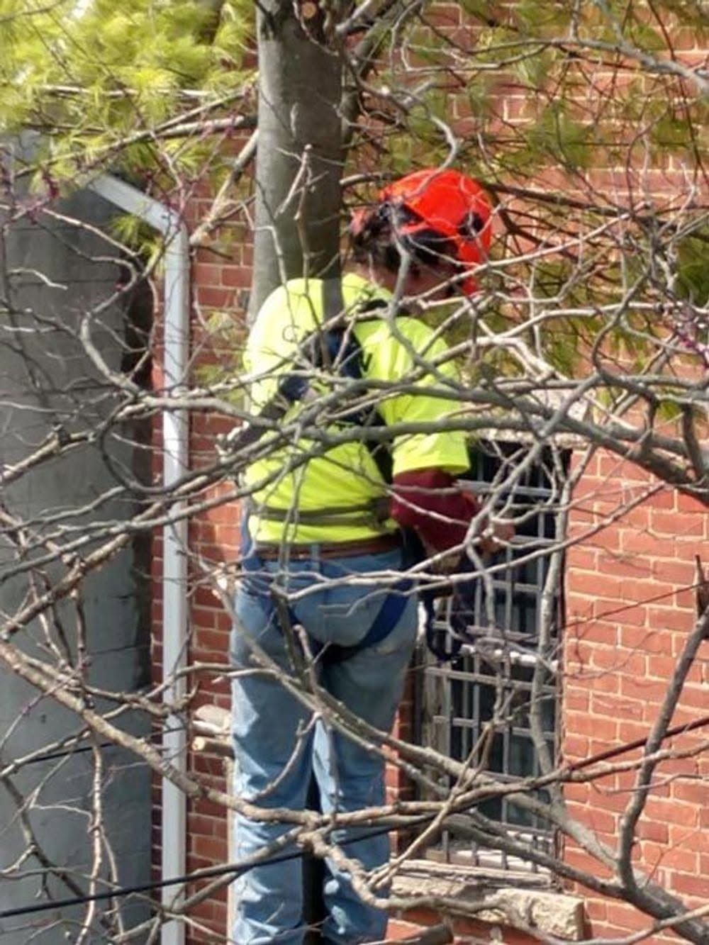Worker in a neon safety vest and orange hard hat inspecting a brick building near a window.