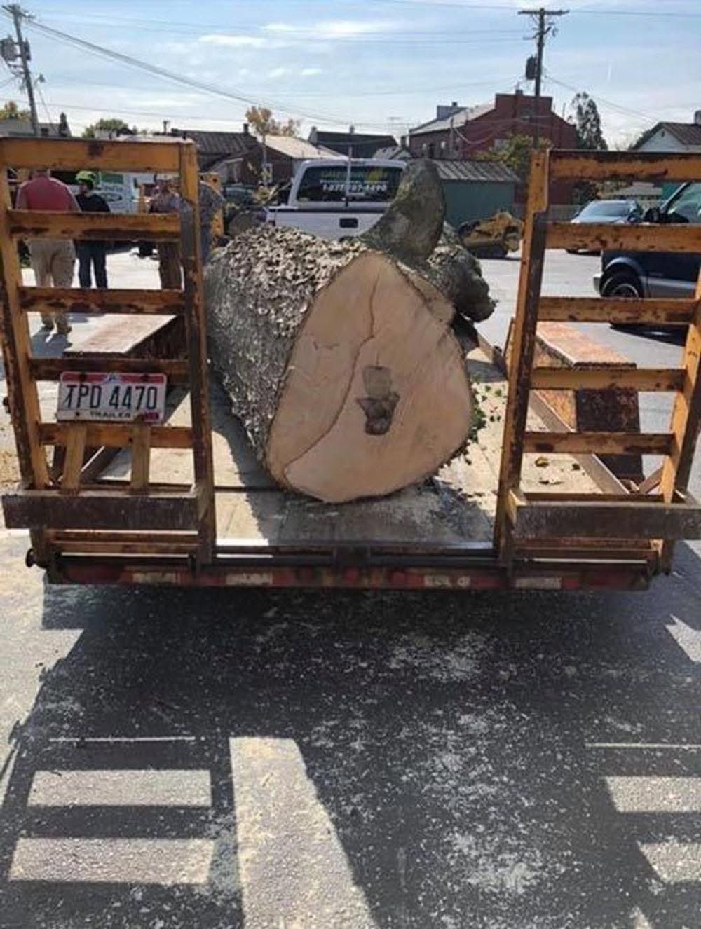 Large tree trunk strapped on a trailer on a street, with a white truck and houses in the background.