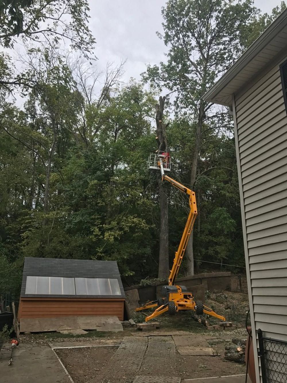 Yellow cherry picker trimming trees beside a house and small shed in a wooded yard