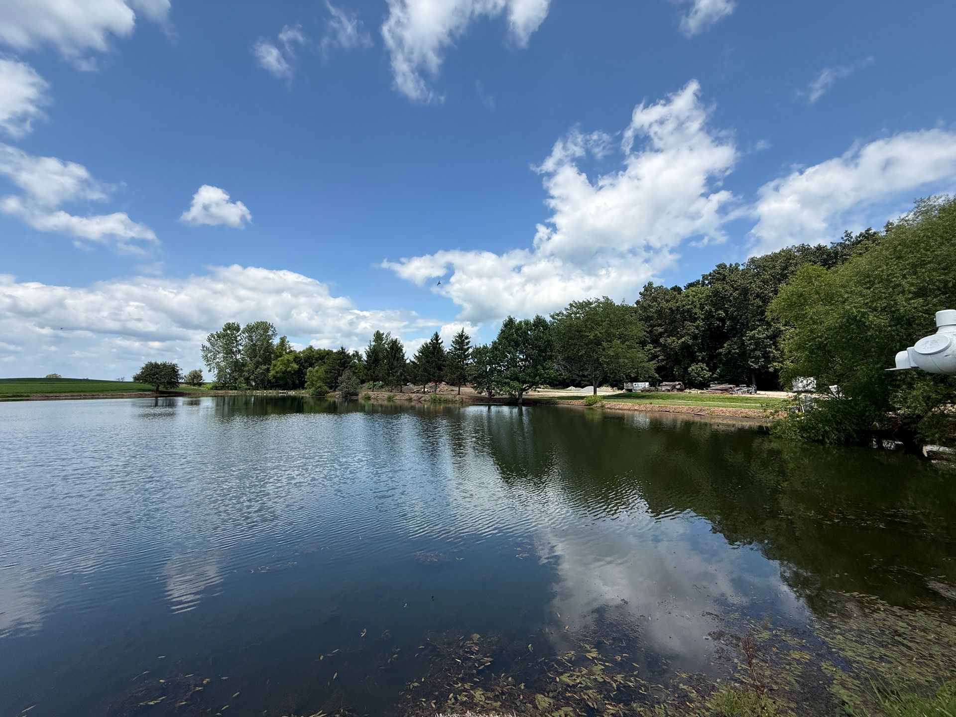 Calm lake reflecting clouds and trees under a bright blue sky, with a sandy shore at right