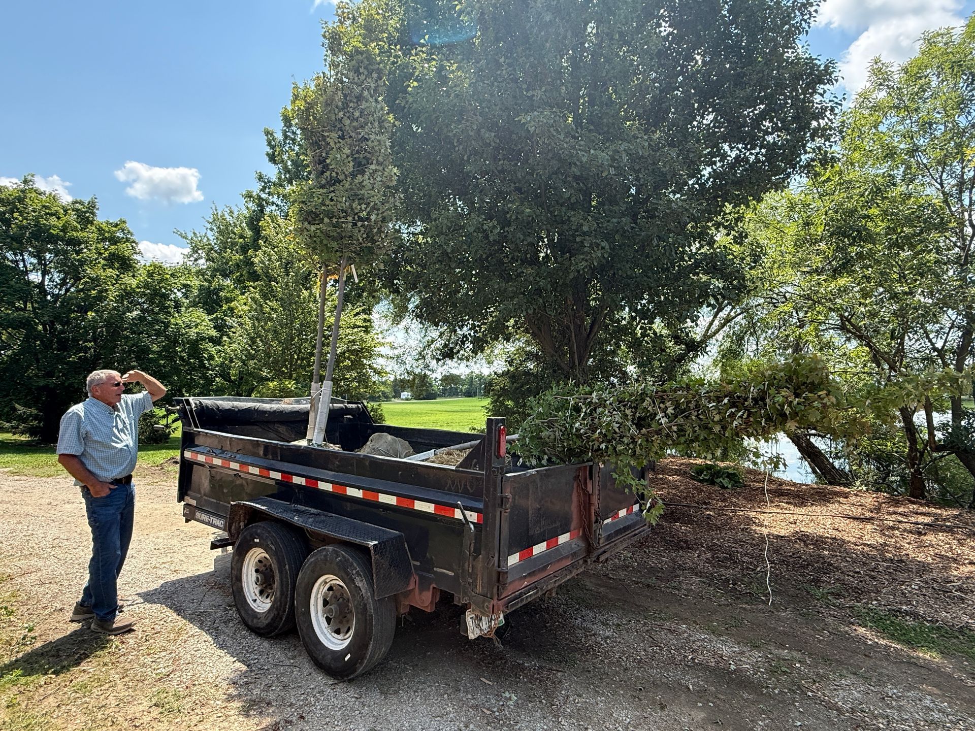 Man standing beside a black utility trailer in a sunny orchard with trees and gravel ground