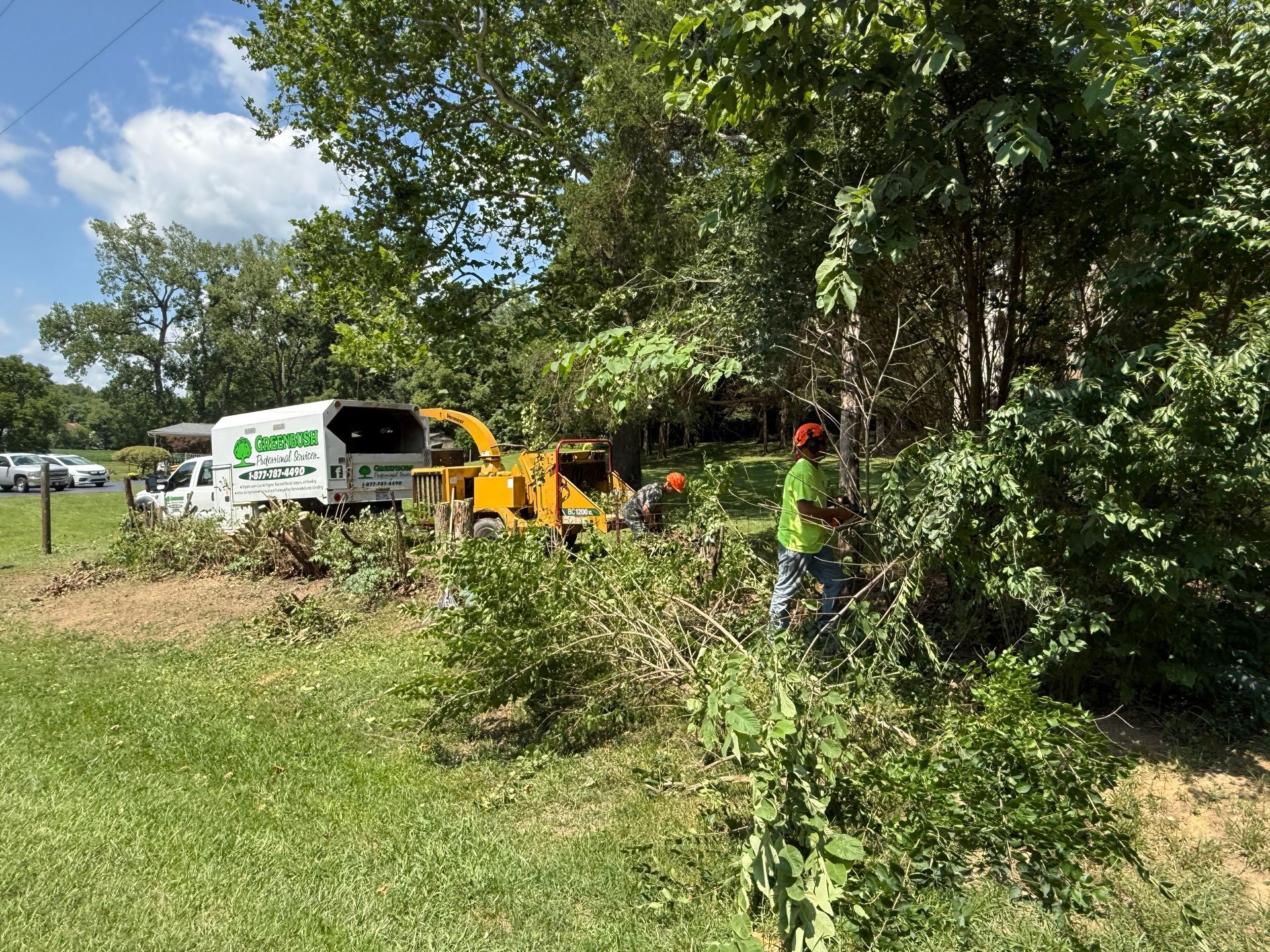 Workers trimming trees beside a white truck and orange chipper in a grassy roadside area