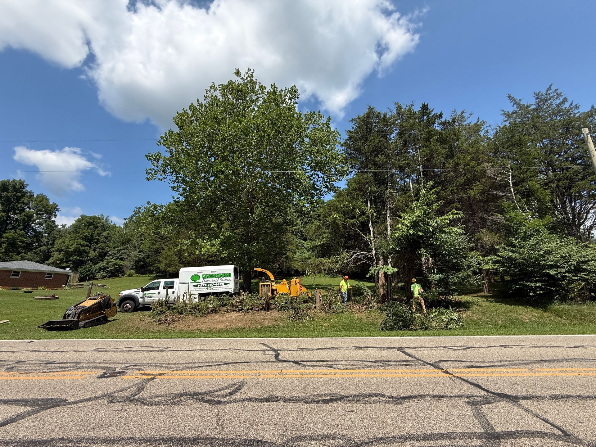 Tree removal crew with trucks and machinery working beside a road under a blue sky